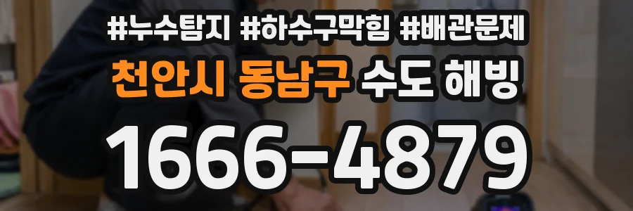 천안시 동남구 수도 해빙