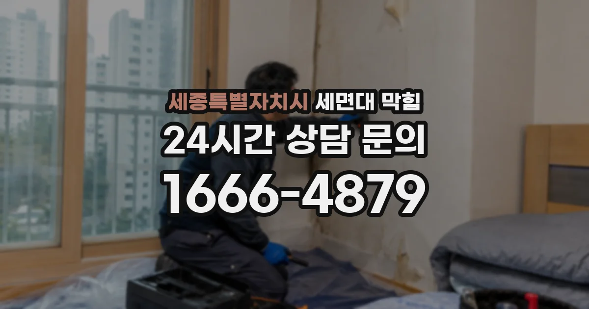 세종특별자치시 세면대 막힘