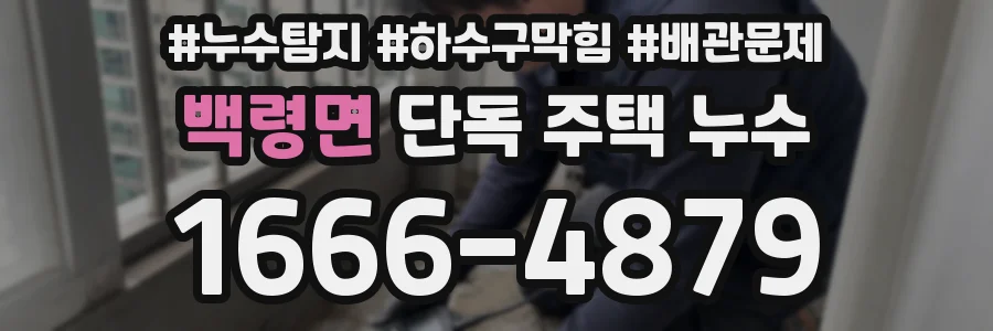 백령면 단독 주택 누수