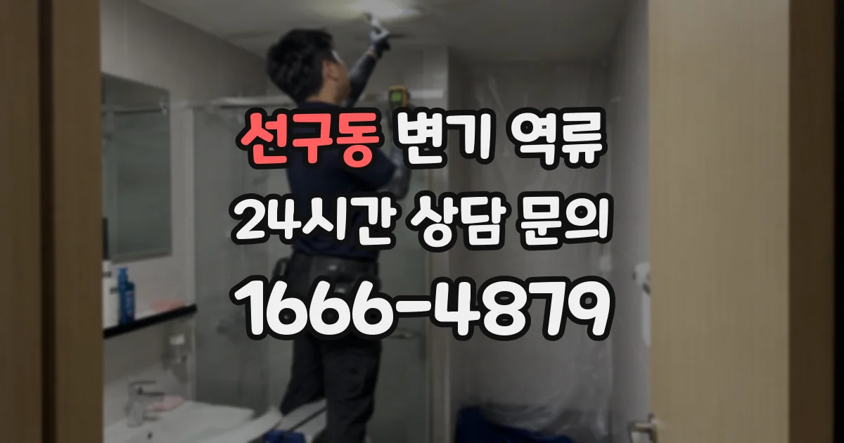 선구동 변기 역류