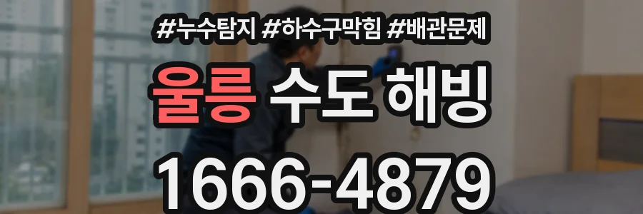 울릉 수도 해빙