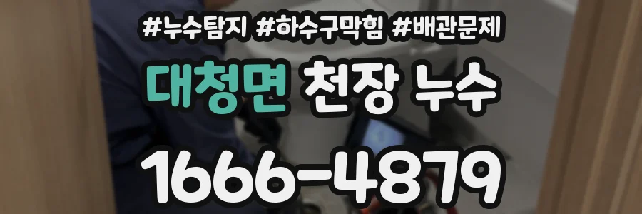 대청면 천장 누수