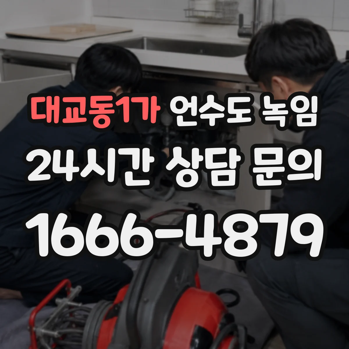 대교동1가 언수도 녹임