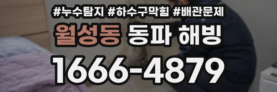월성동 동파 해빙