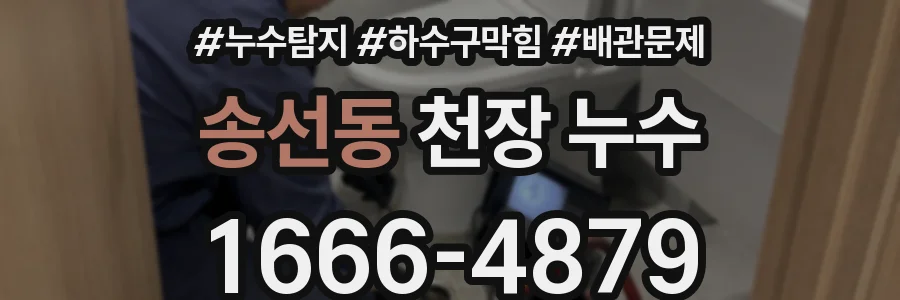 송선동 천장 누수