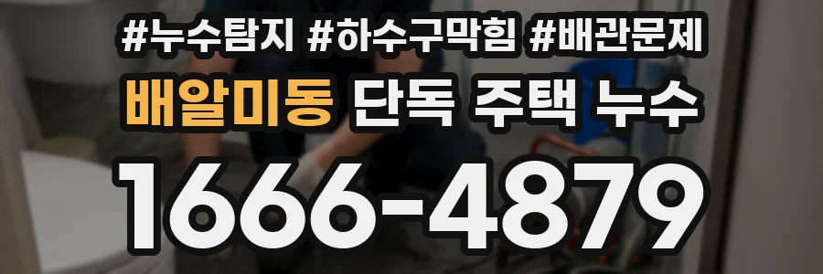배알미동 단독 주택 누수