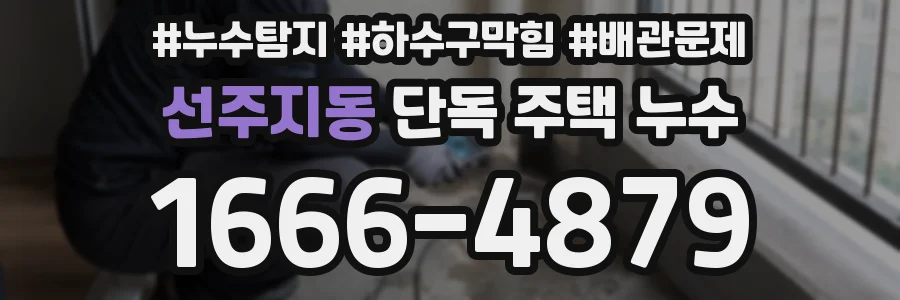 선주지동 단독 주택 누수