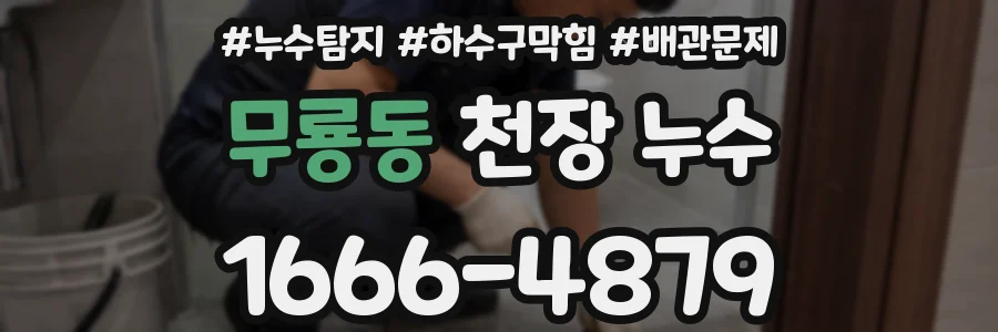 무룡동 천장 누수