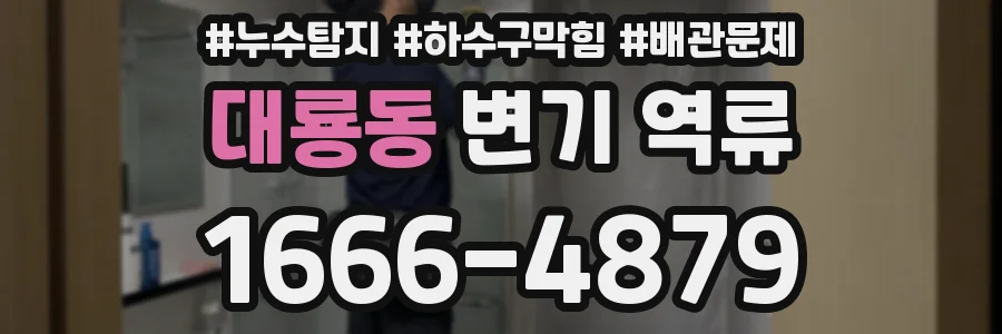 대룡동 변기 역류