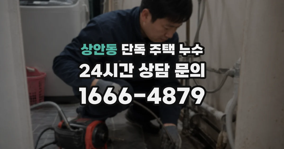 상안동 단독 주택 누수