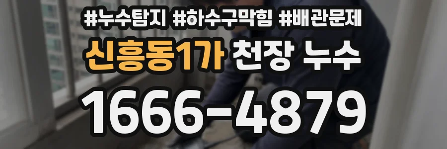 신흥동1가 천장 누수