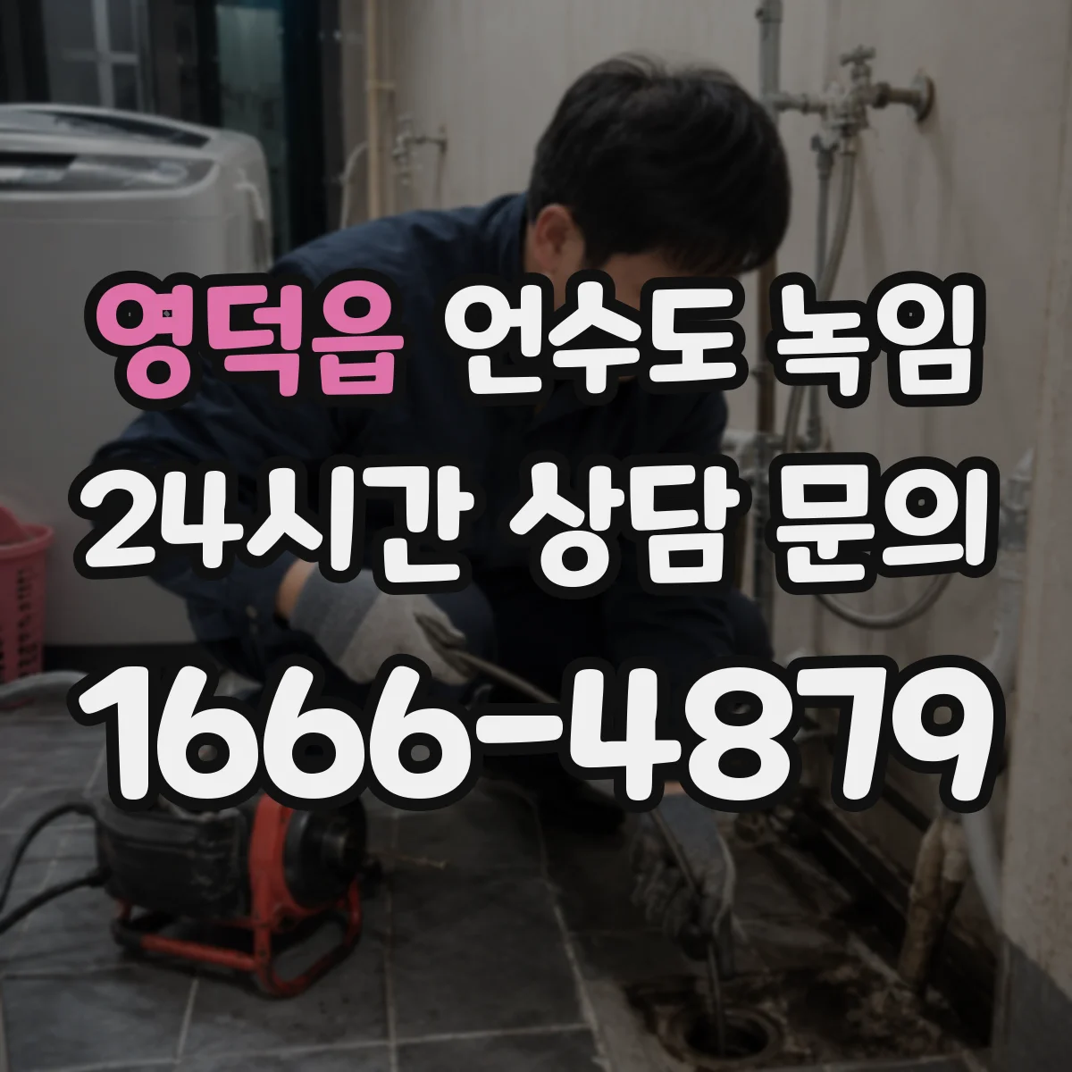 영덕읍 언수도 녹임
