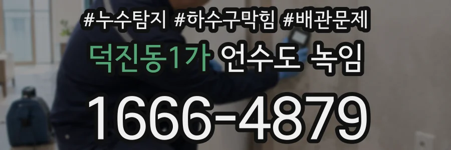 덕진동1가 언수도 녹임