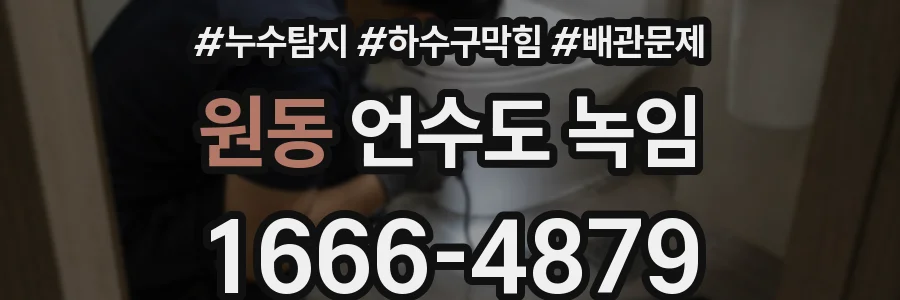 원동 언수도 녹임