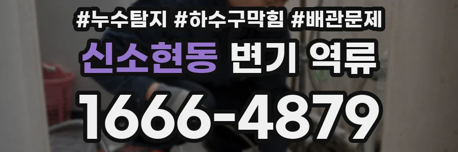 신소현동 변기 역류