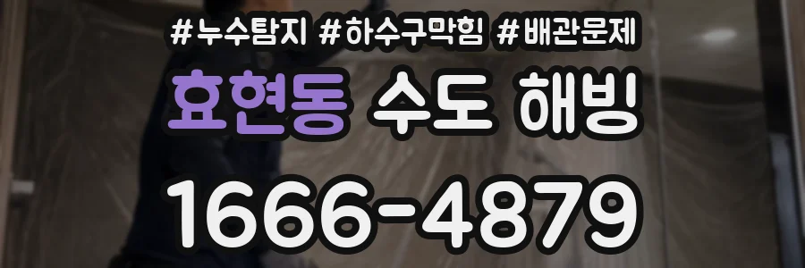 효현동 수도 해빙