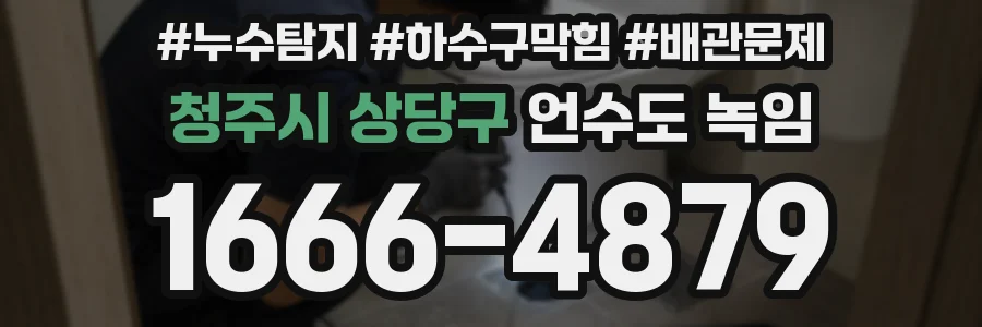 청주시 상당구 언수도 녹임