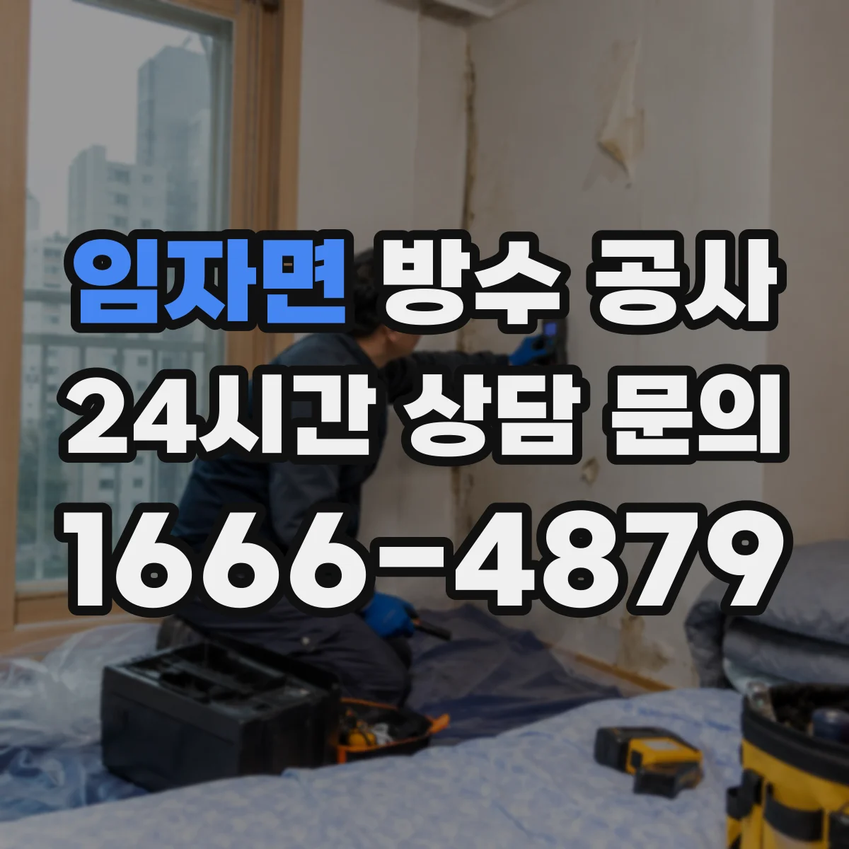 임자면 방수 공사