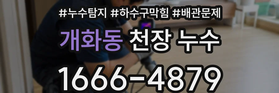 개화동 천장 누수