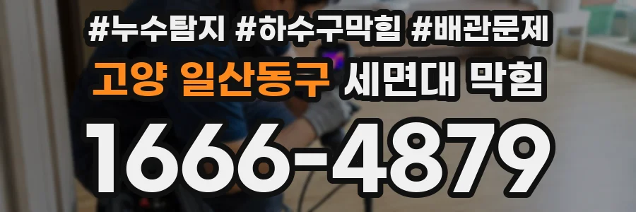 고양 일산동구 세면대 막힘