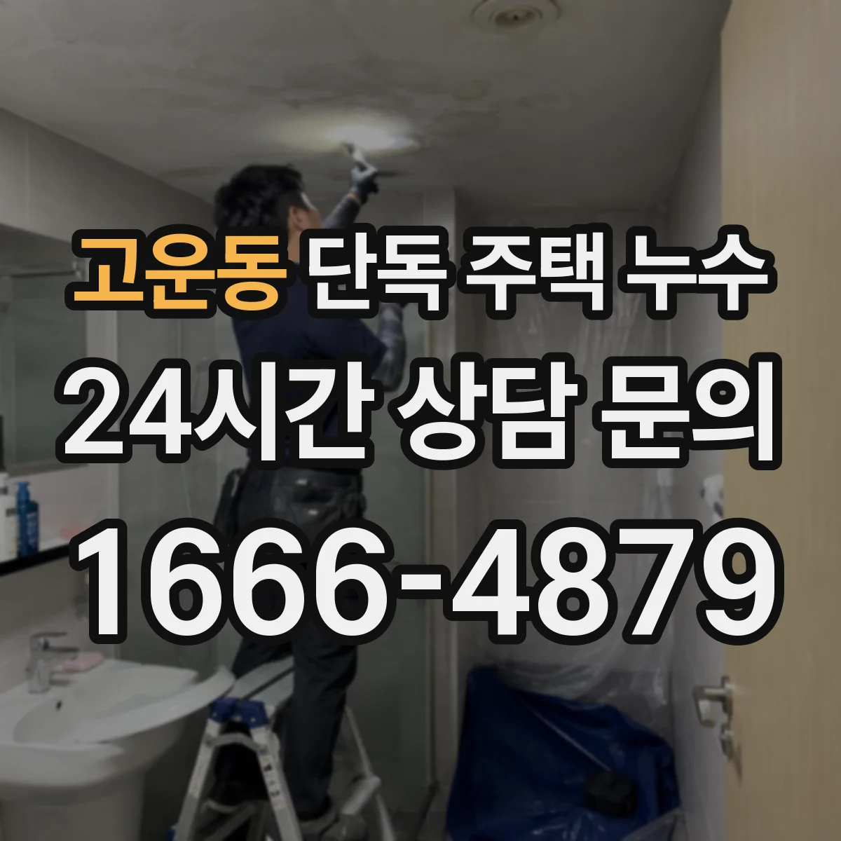 고운동 단독 주택 누수