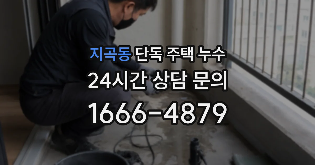 지곡동 단독 주택 누수