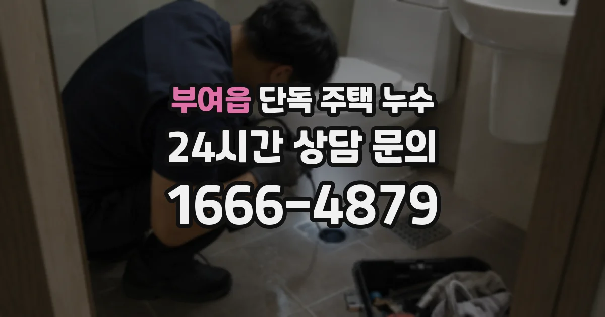 부여읍 단독 주택 누수