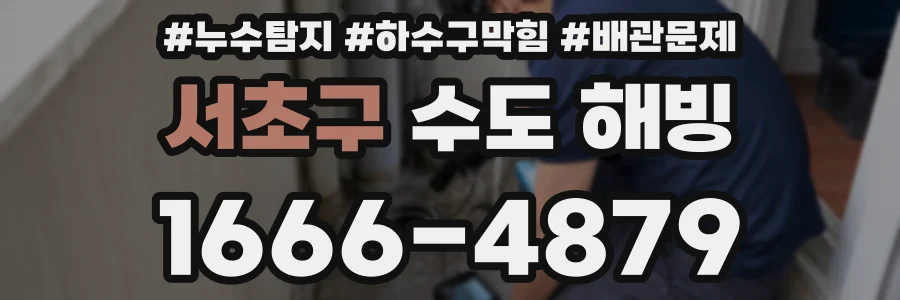 서초구 수도 해빙