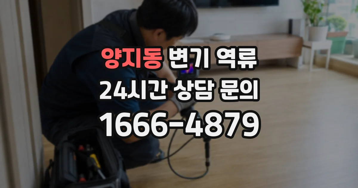 양지동 변기 역류