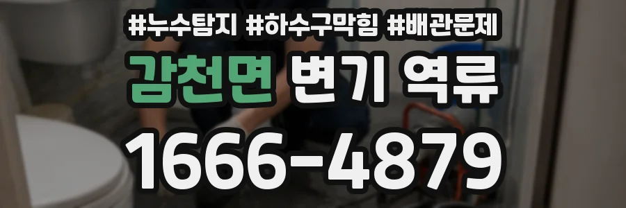 감천면 변기 역류