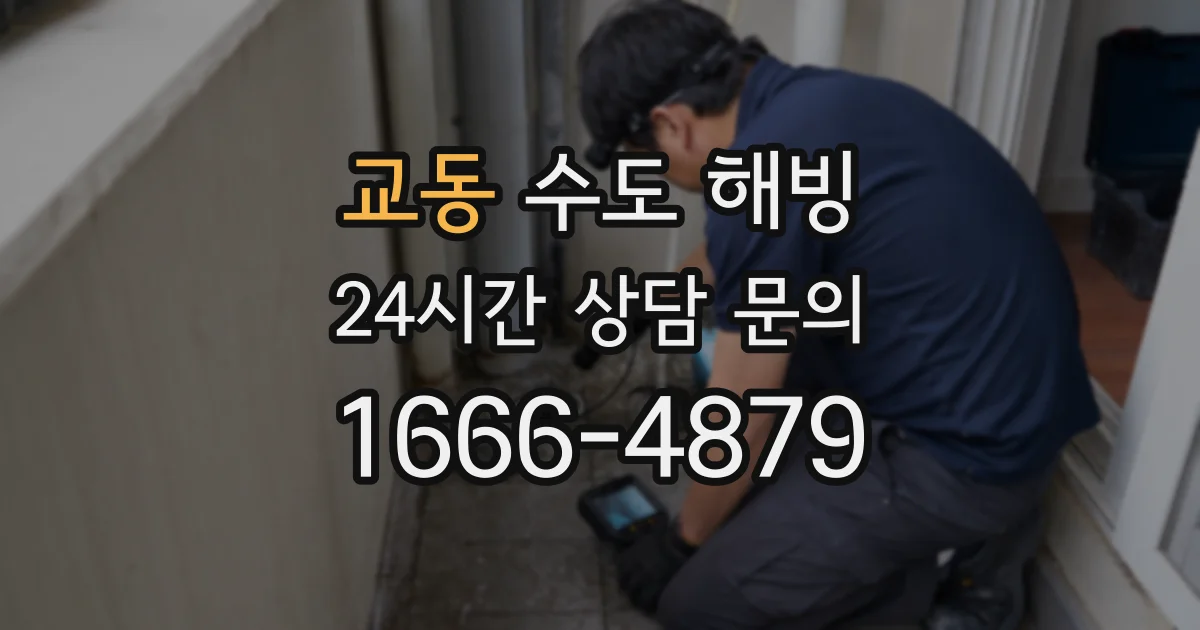 교동 수도 해빙