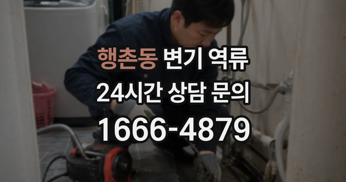행촌동 변기 역류