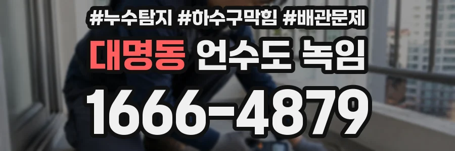 대명동 언수도 녹임