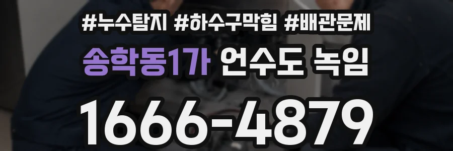 송학동1가 언수도 녹임