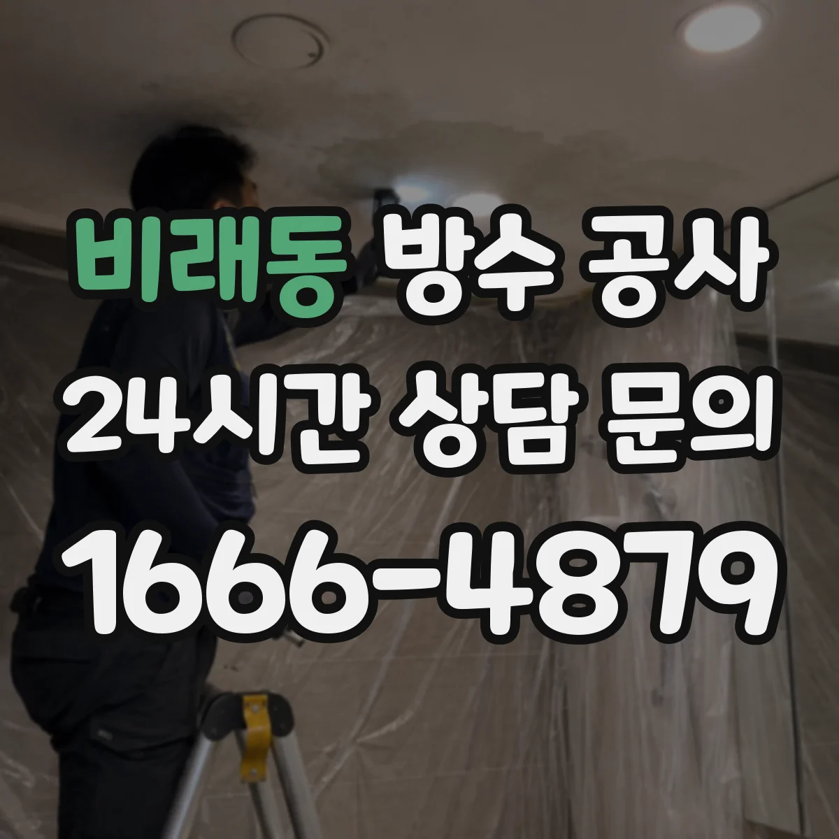비래동 방수 공사