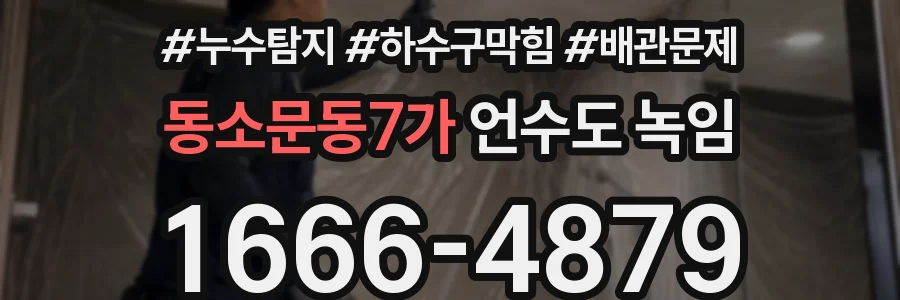 동소문동7가 언수도 녹임