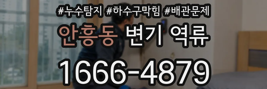 안흥동 변기 역류