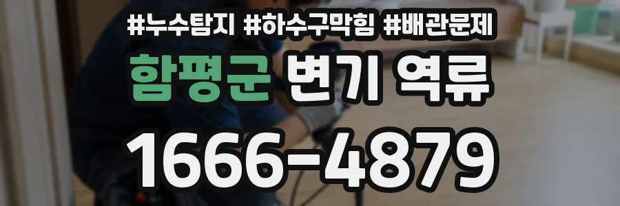 함평군 변기 역류