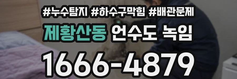 제황산동 언수도 녹임