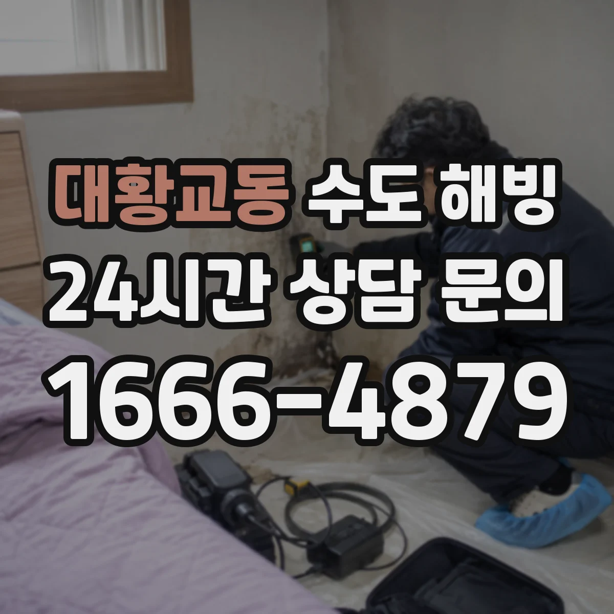 대황교동 수도 해빙