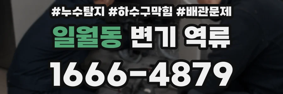 일월동 변기 역류