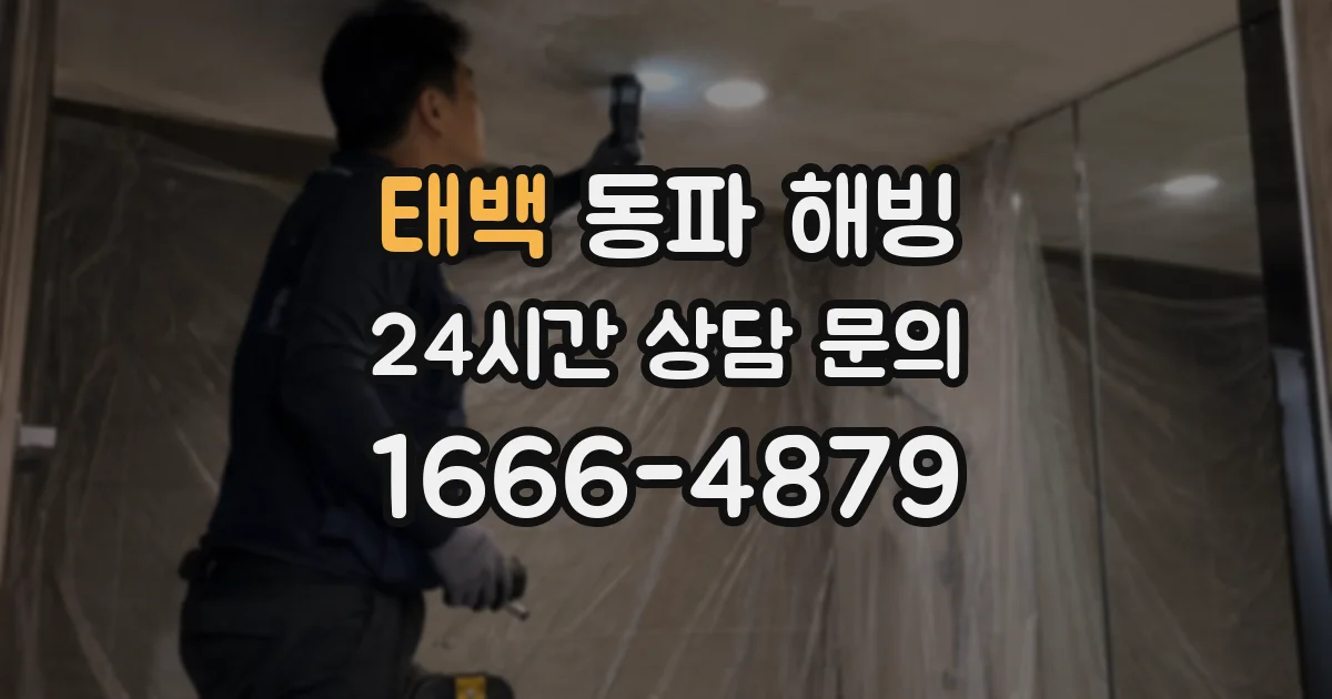태백 동파 해빙