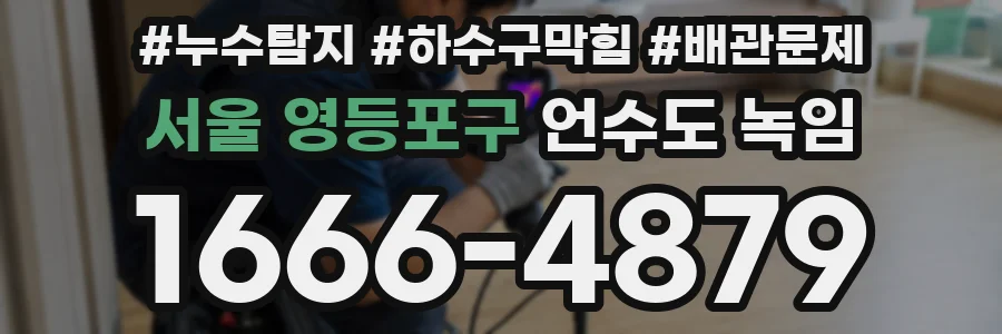 서울 영등포구 언수도 녹임