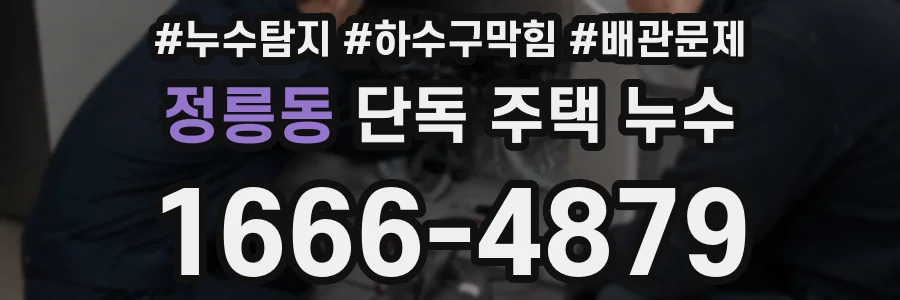 정릉동 단독 주택 누수
