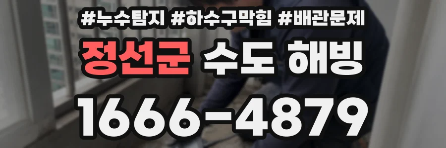 정선군 수도 해빙