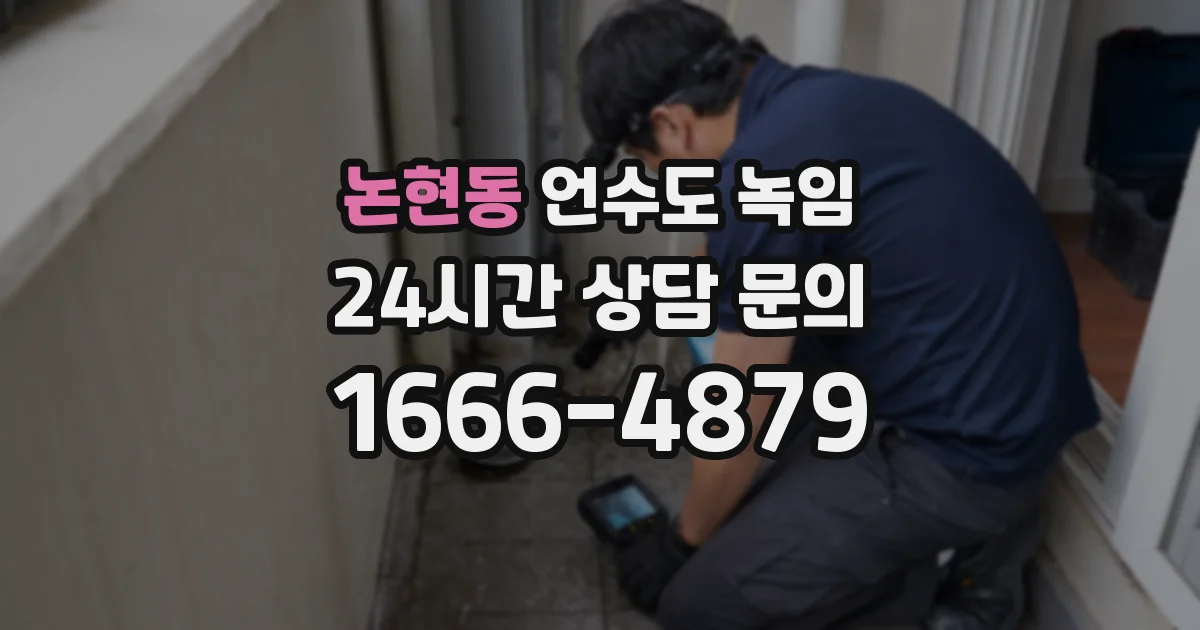 논현동 언수도 녹임