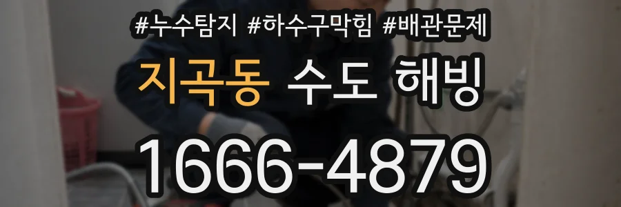 지곡동 수도 해빙