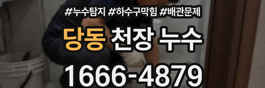 당동 천장 누수