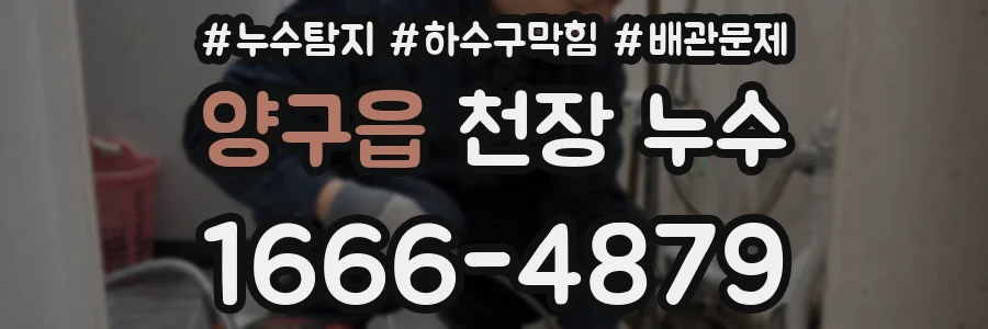 양구읍 천장 누수