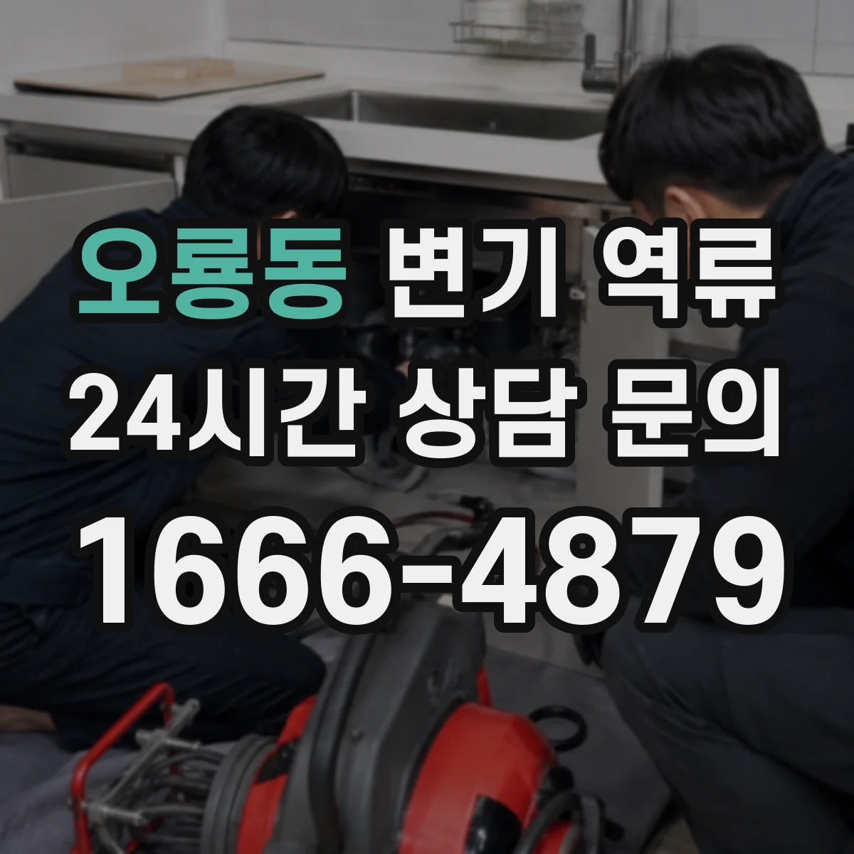 오룡동 변기 역류